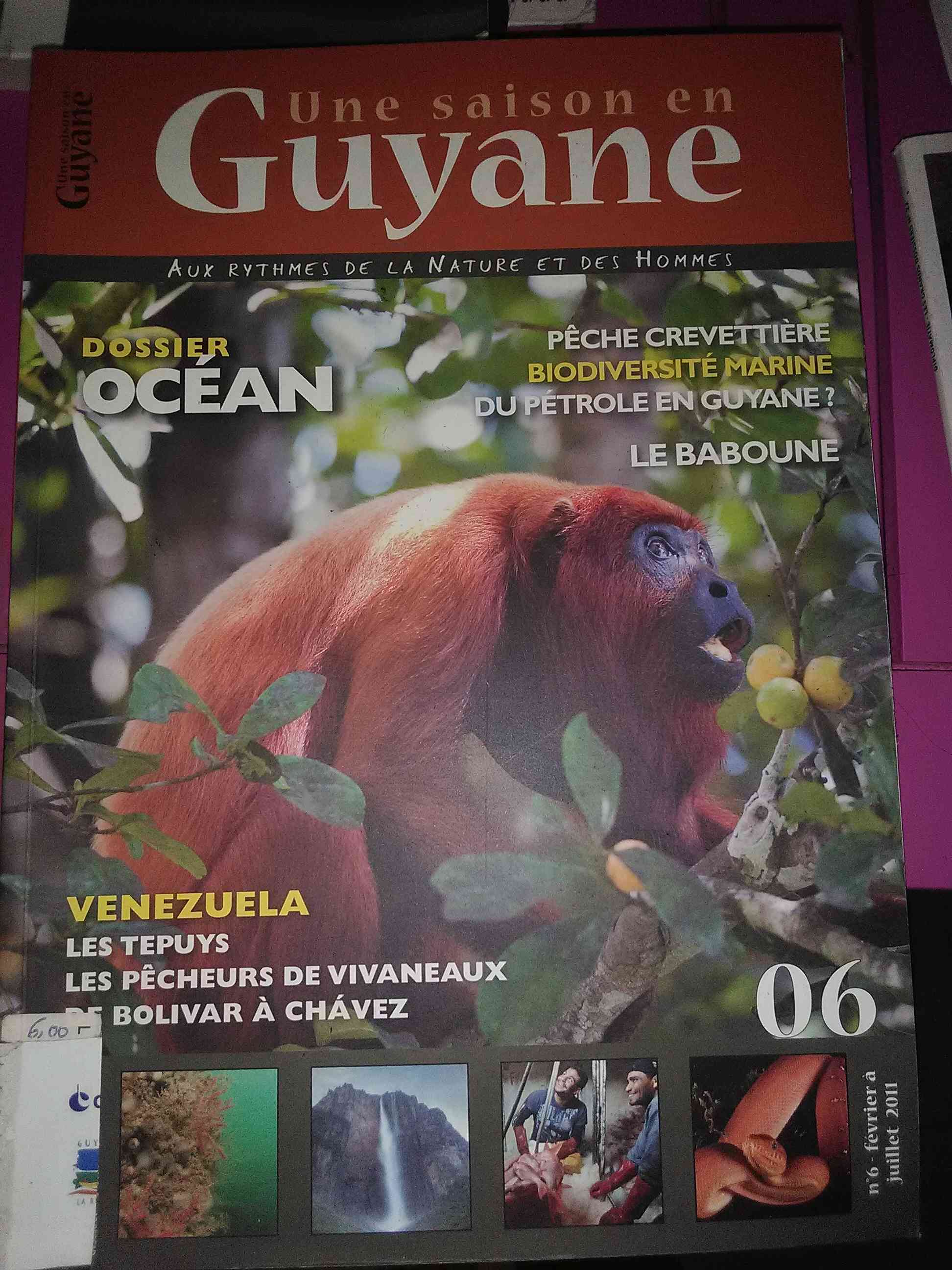 Une saison en Guyane