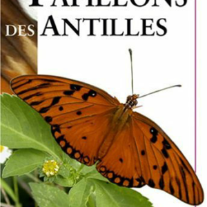 Papillons des Antilles