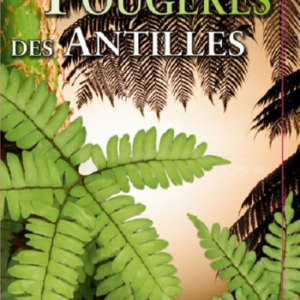 Fougères et plantes alliées des Petites Antilles
